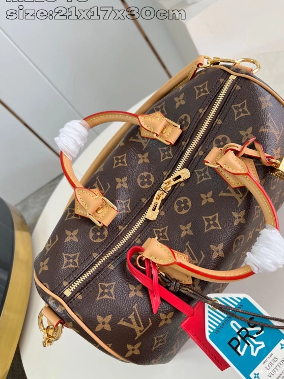 WIS Crafty Speedy Soft Vuitton 30 Louis 0317